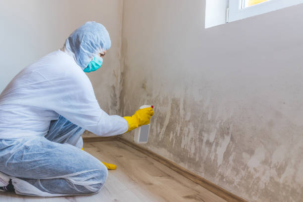 Mold Remediation specialist working in Framingham